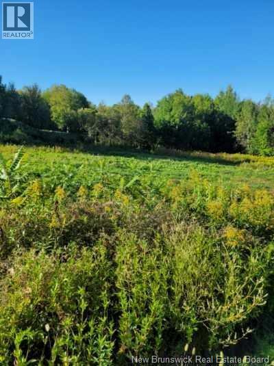 Photo of Listing #NB125737