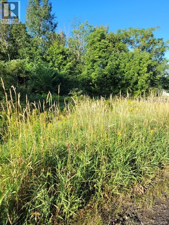 Photo of Listing #NB125736