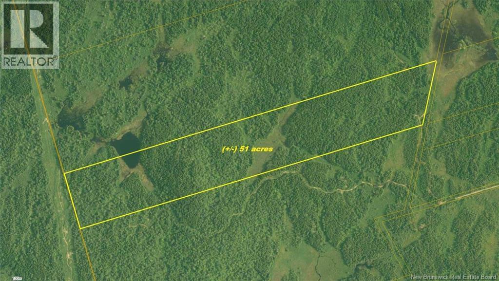 Photo of Listing #NB125723