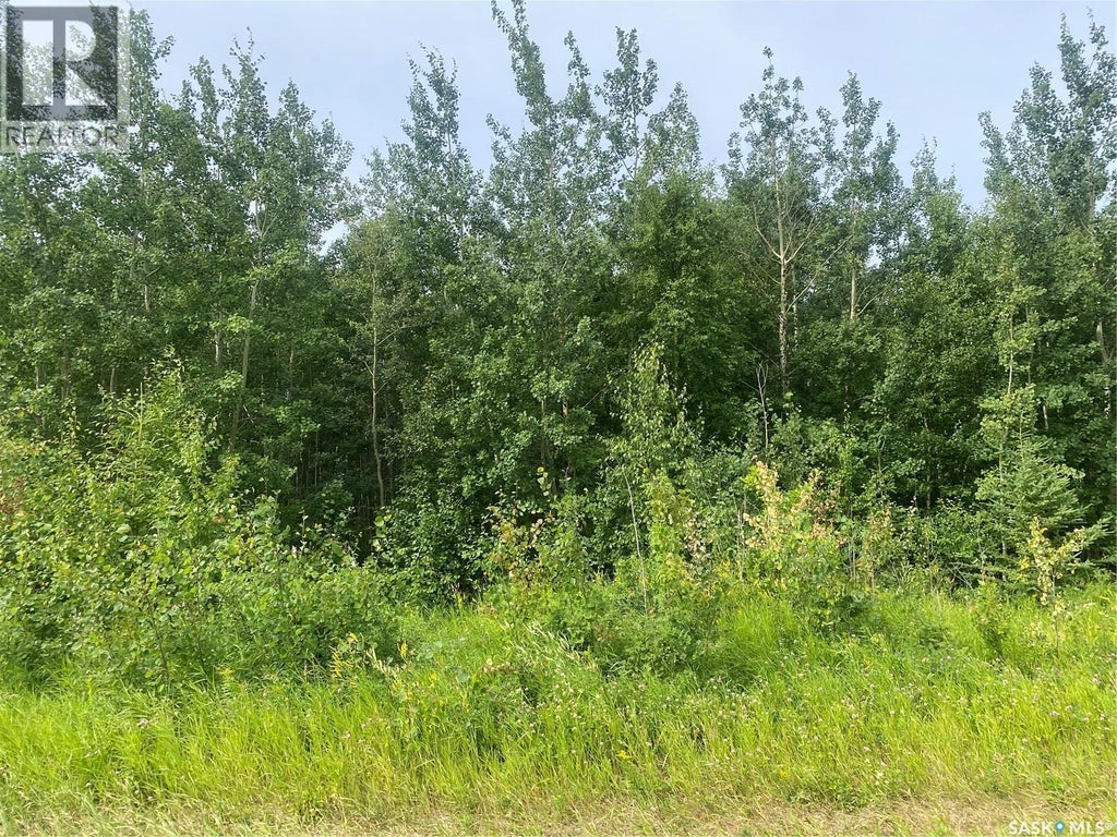 Highway 2 N Acreage Land, Paddockwood Rm No. 520
