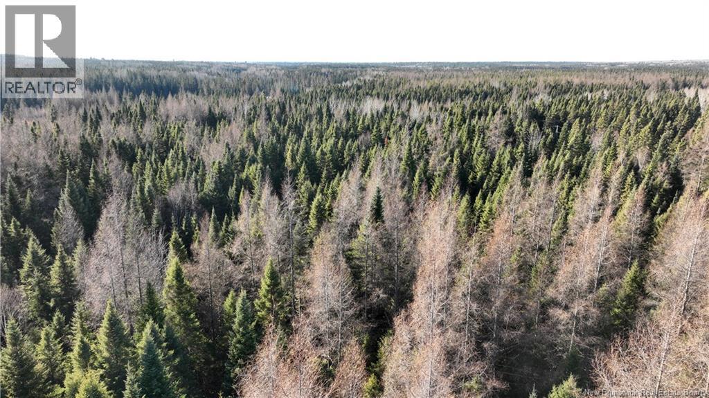 Photo of Listing #NB125856