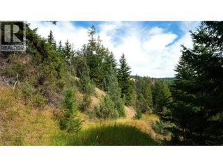 Lot 1 Hwy 33 Highway E. Kelowna, British Columbia