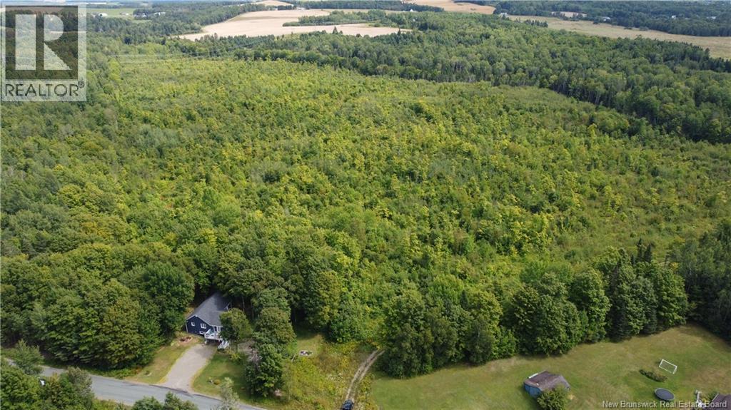 Photo of Listing #NB125929