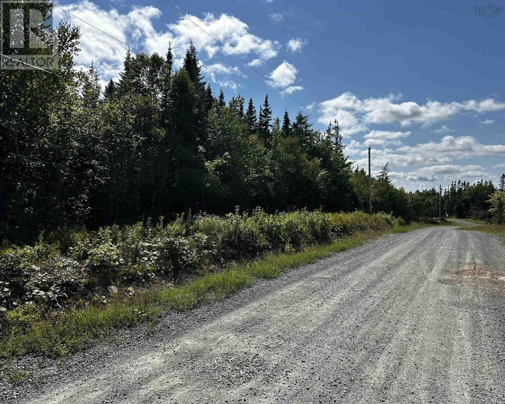 Blaze Road|the Banks Of Loch Lomond, Loch Lomond