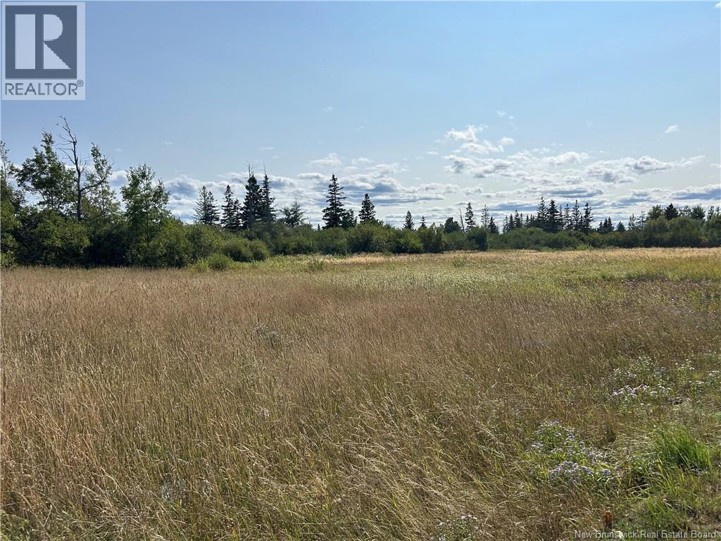 Photo of Listing #NB126104