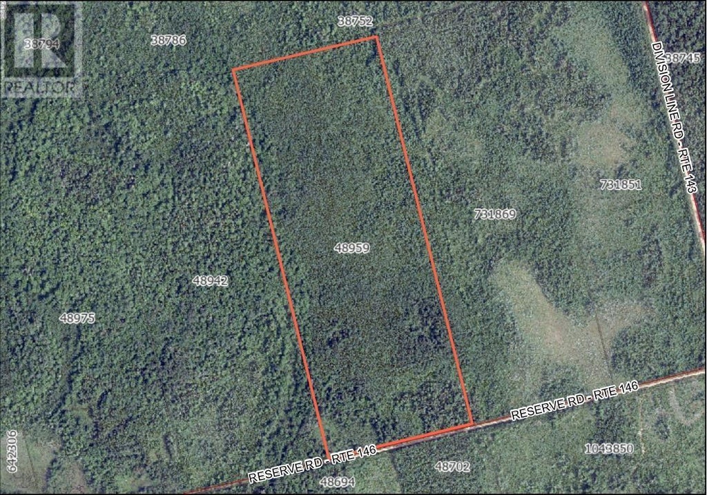 Reserve Road, Forestview