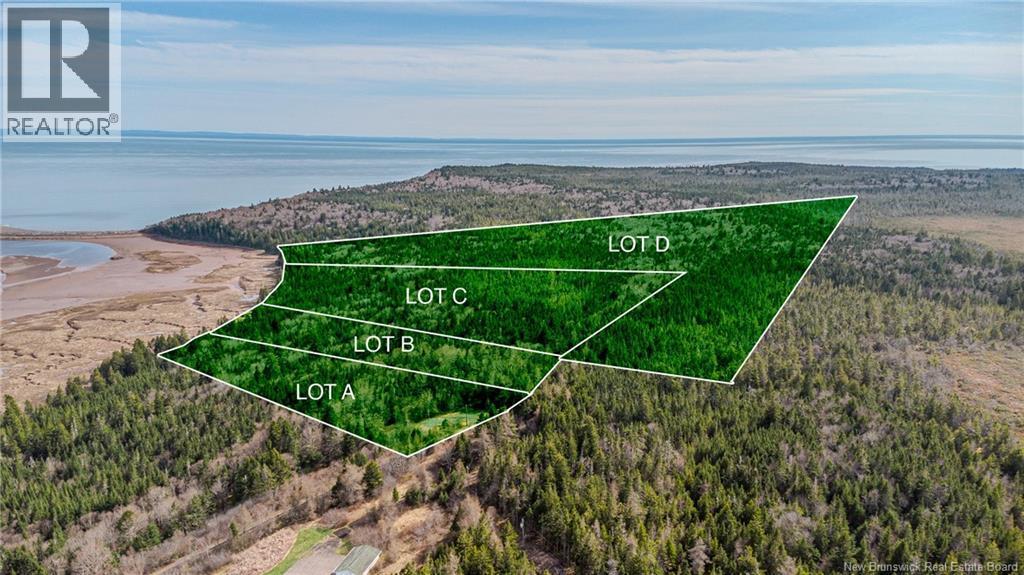 Photo of Listing #NB126161