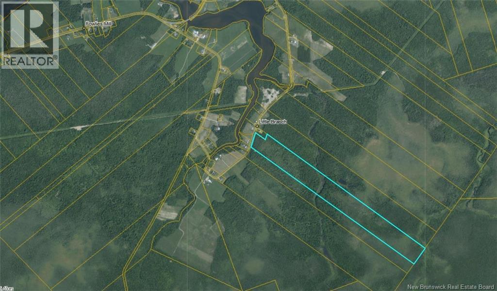 Photo of Listing #NB126092