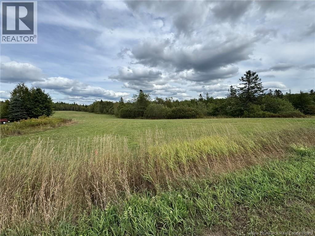 Photo of Listing #NB126237