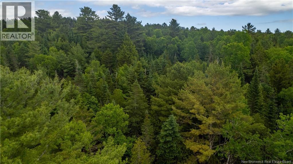 Photo of Listing #NB126293