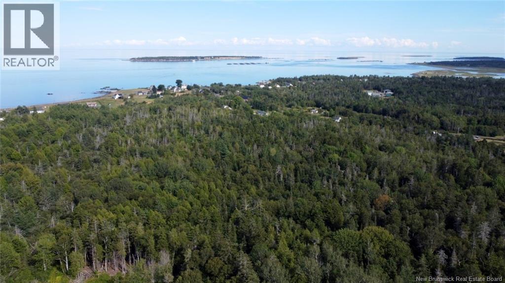 Photo of Listing #NB126387