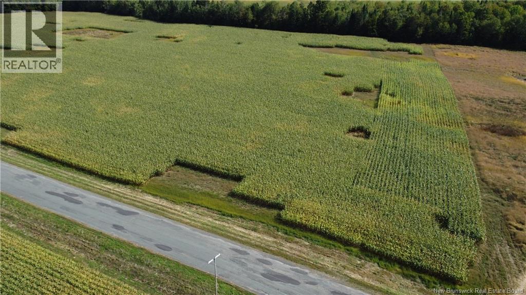 Photo of Listing #NB126243