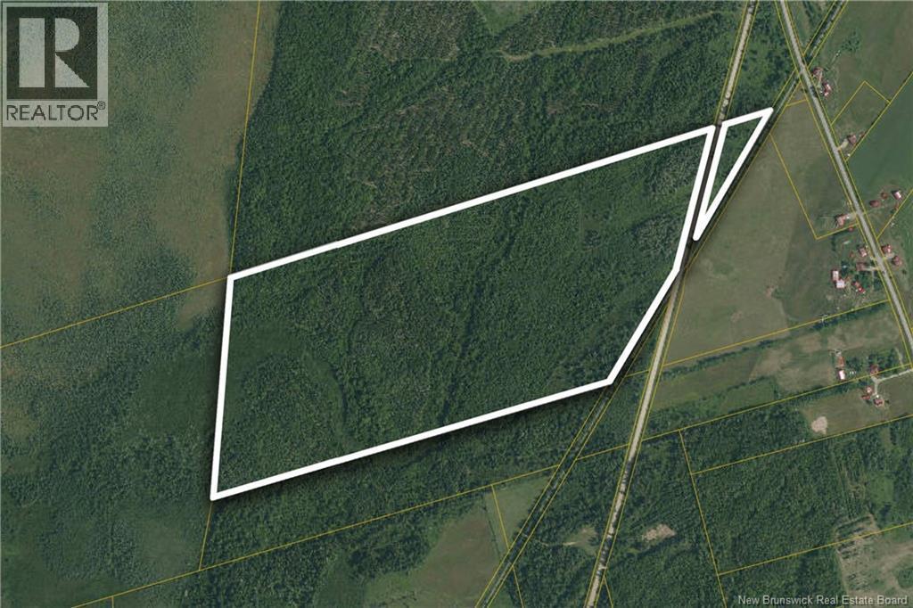 Photo of Listing #NB126417