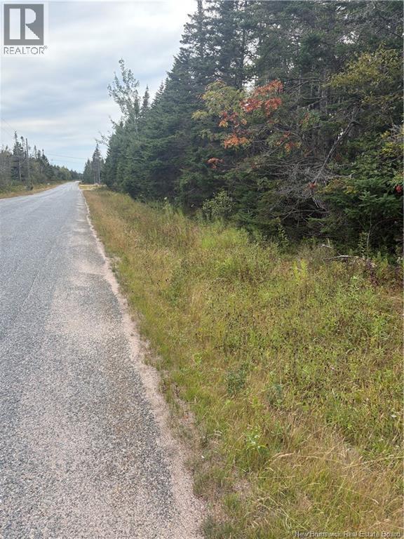 Photo of Listing #NB126229