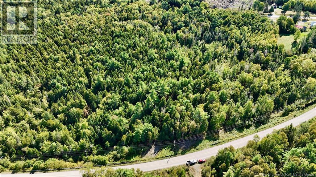 Photo of Listing #NB126478