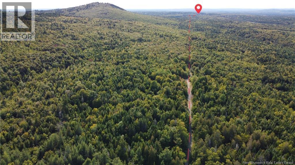 Photo of Listing #NB126118