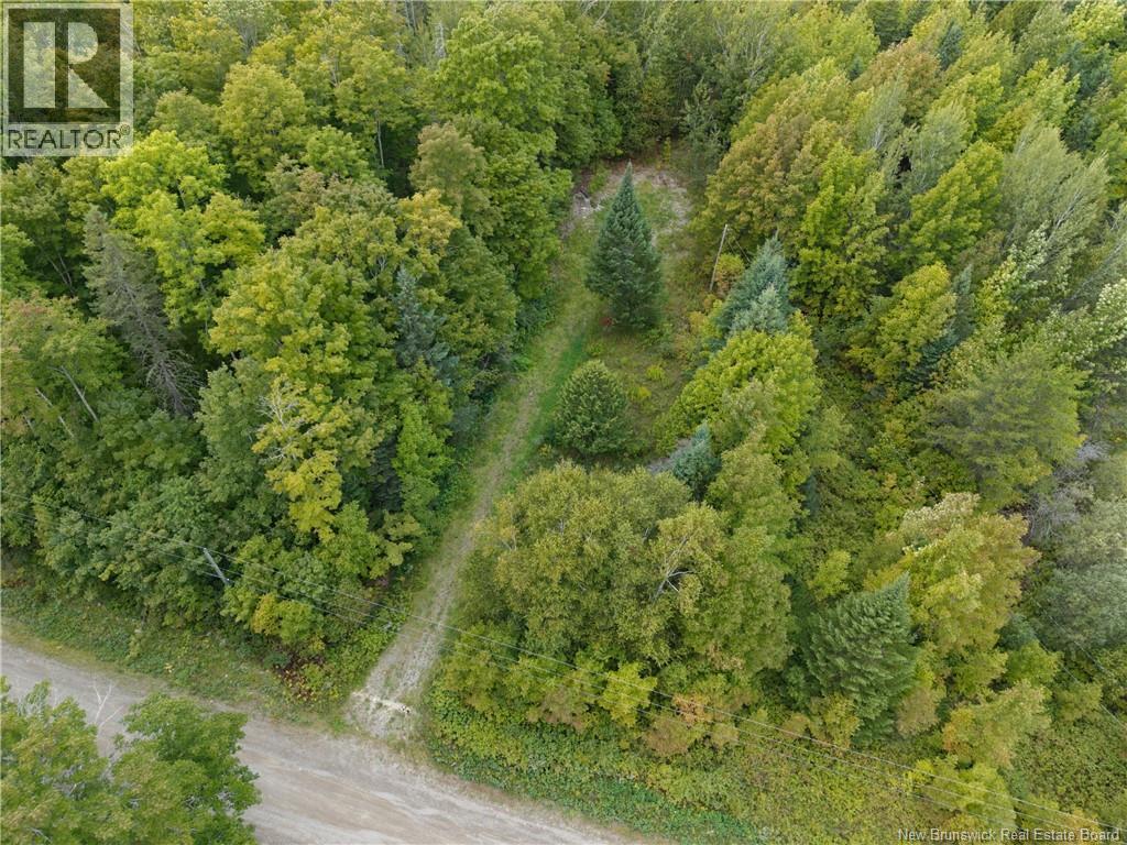 Photo of Listing #NB126451