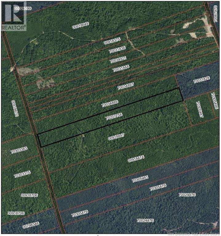 Photo of Listing #NB126331