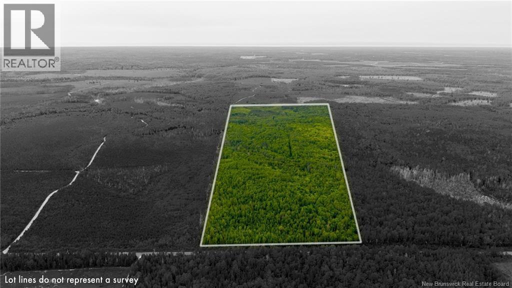 Photo of Listing #NB126474