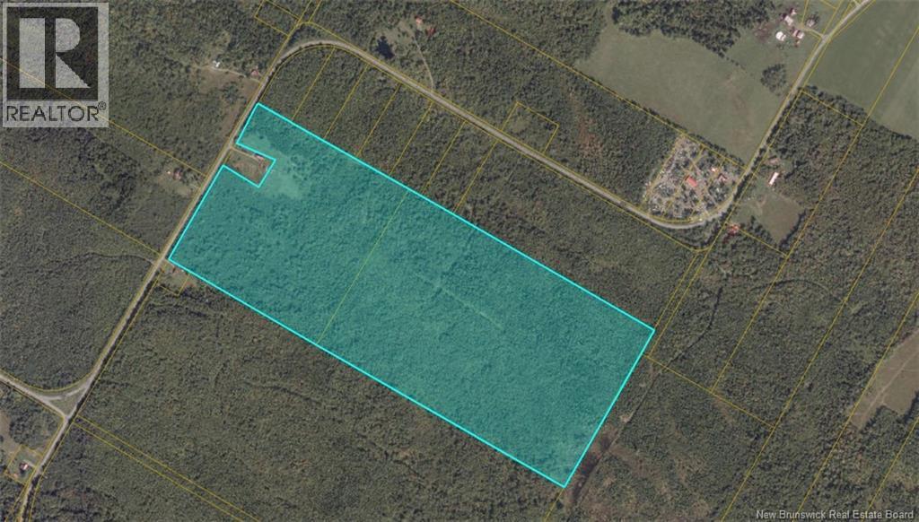 Photo of Listing #NB126630