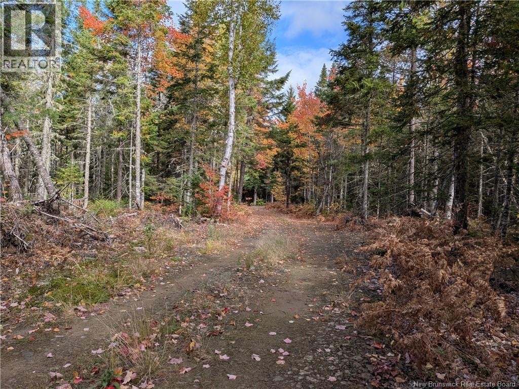 Photo of Listing #NB126776