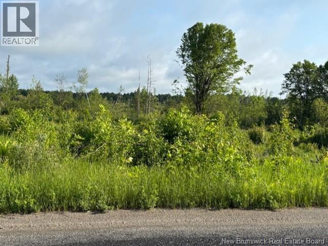 Photo of Listing #NB126812