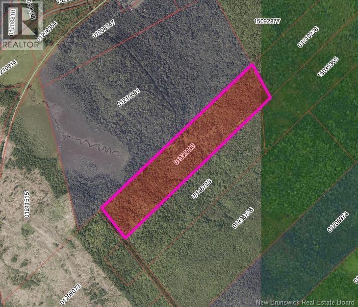 Photo of Listing #NB126519