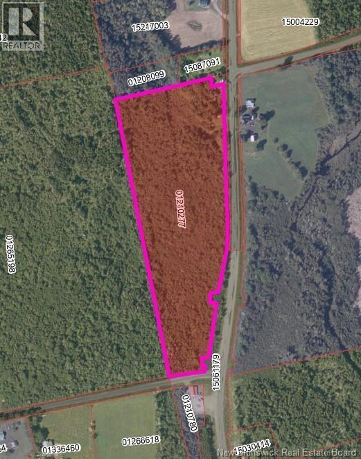 Photo of Listing #NB126439