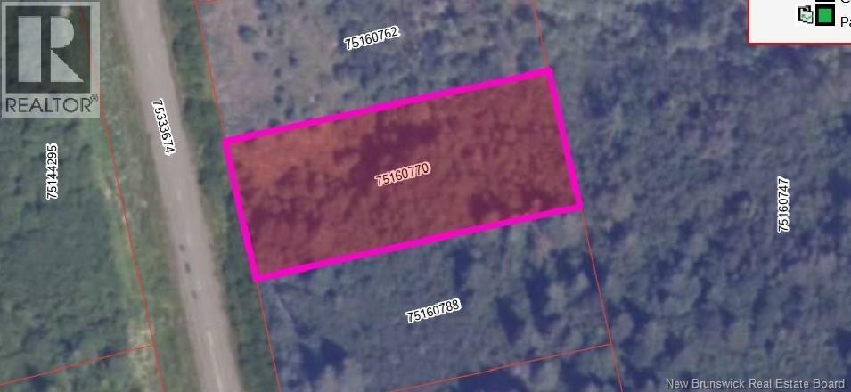 Photo of Listing #NB126791