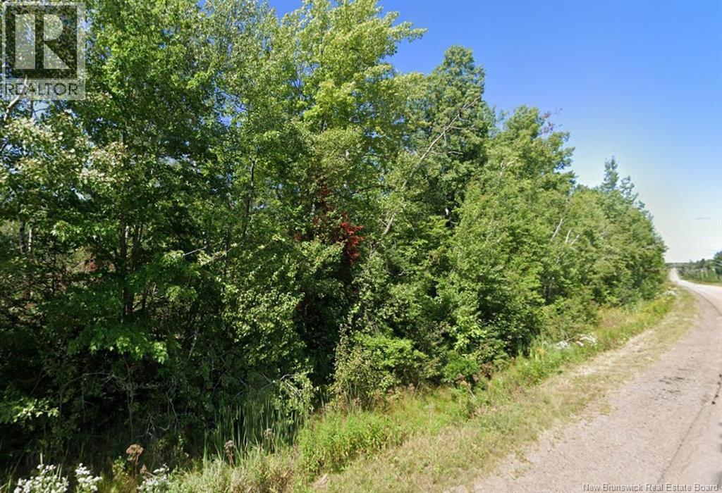 Photo of Listing #NB126817