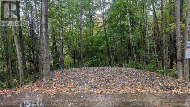 Lot 1 Tally-ho Winter Park Road, Lake Of Bays (sinclair)