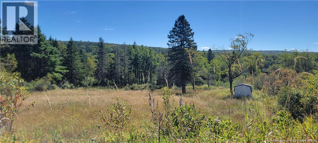 Photo of Listing #NB126996