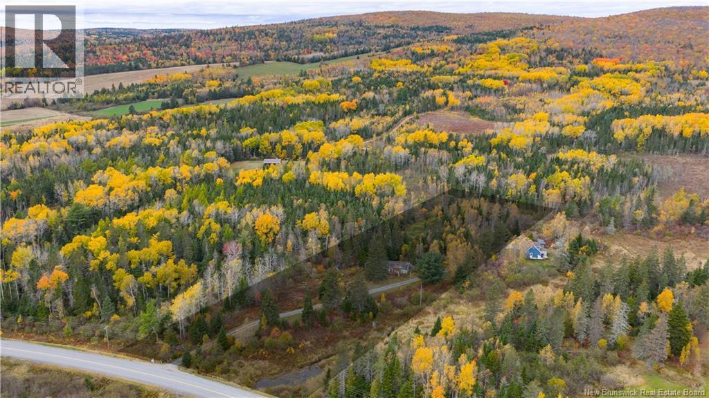 Photo of Listing #NB126882