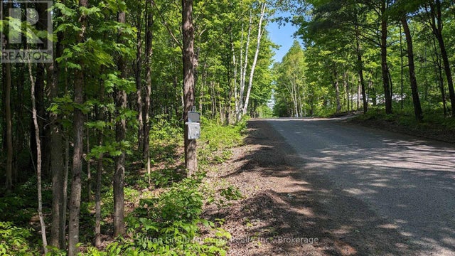 Lot 2 Tally-ho Winter Park Road, Lake Of Bays (sinclair)