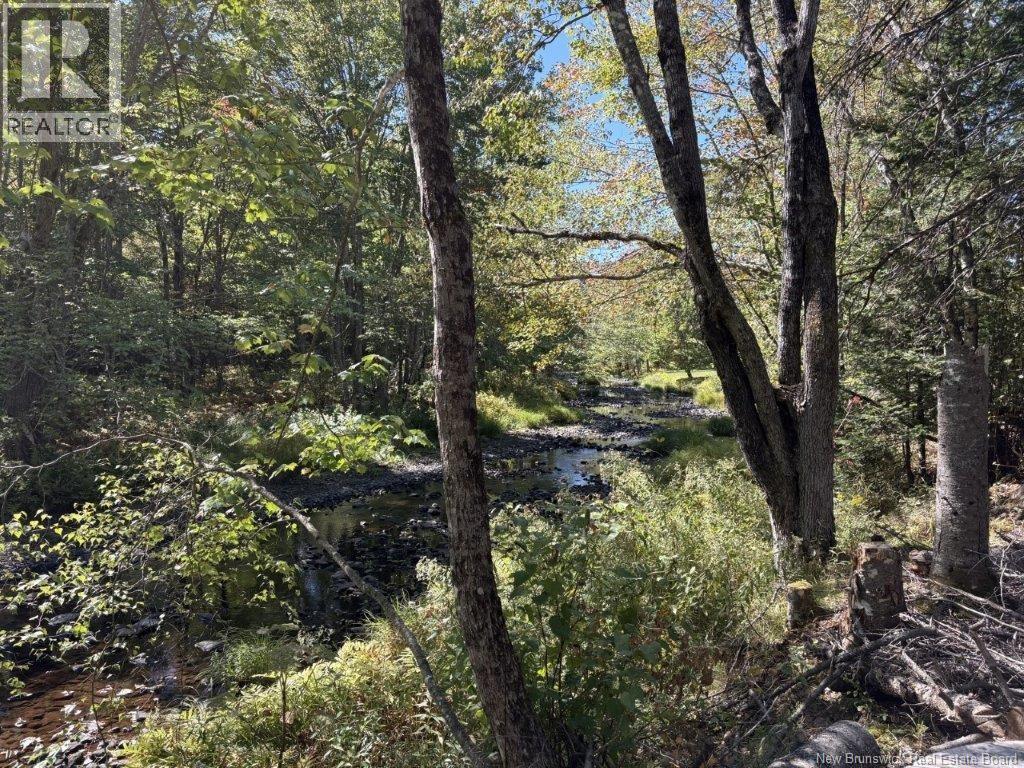 Photo of Listing #NB127127