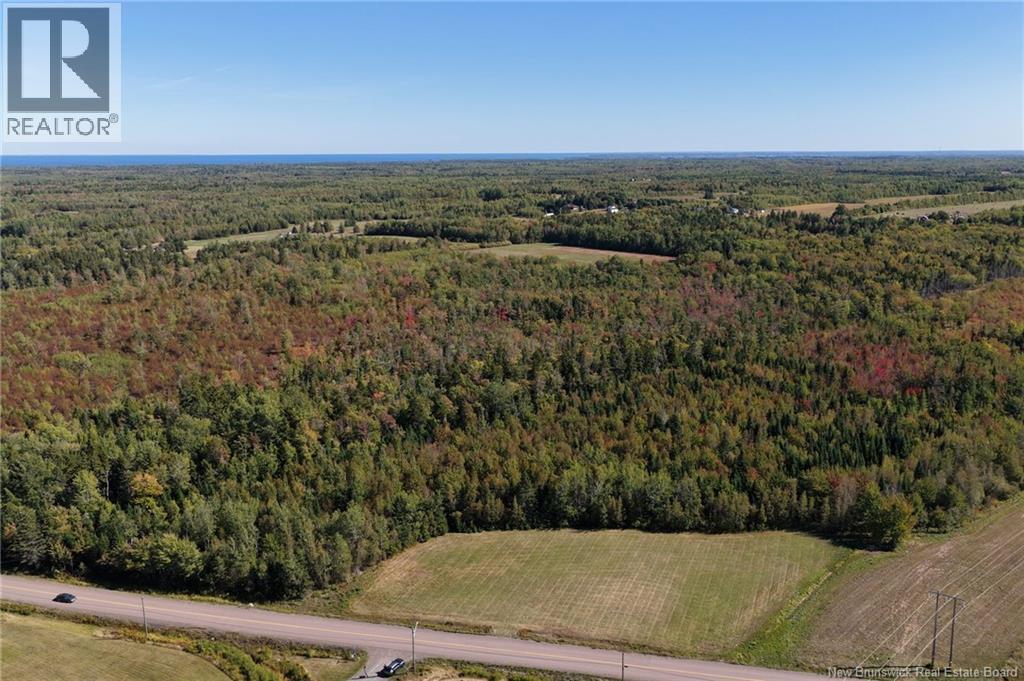 Photo of Listing #NB126940