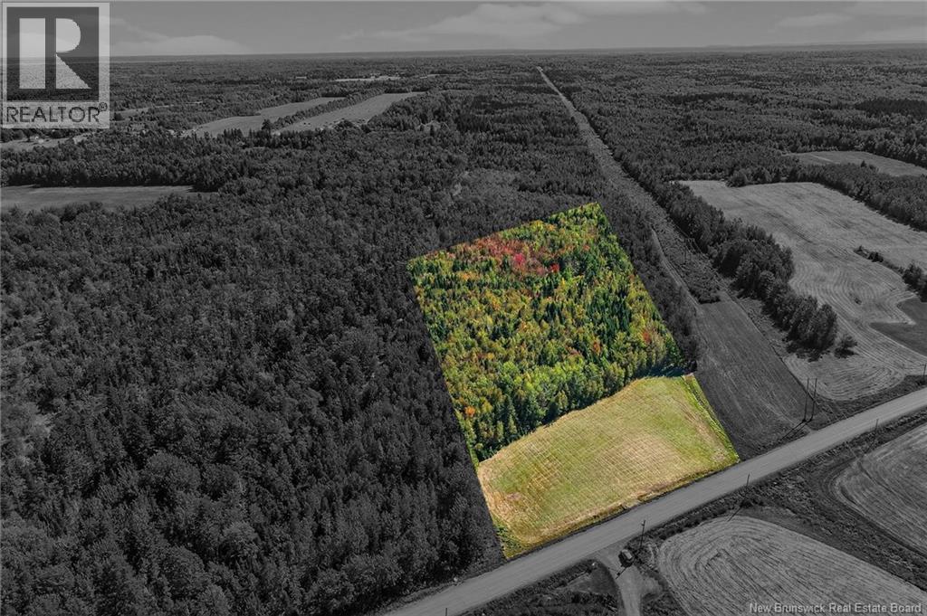 Photo of Listing #NB126940