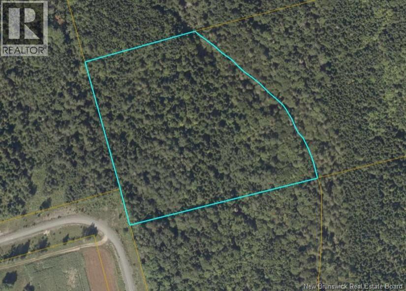 Photo of Listing #NB127157