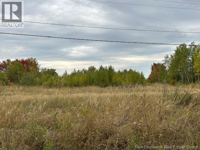 Photo of Listing #NB127205