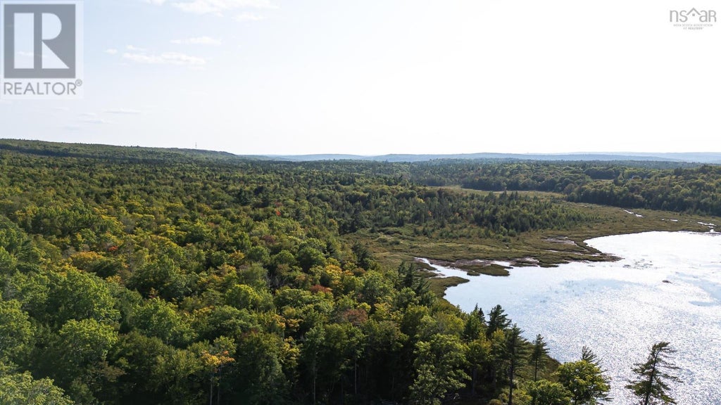 Florence Lane, Wellington