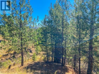 21 Nine Mile Place. Osoyoos, British Columbia