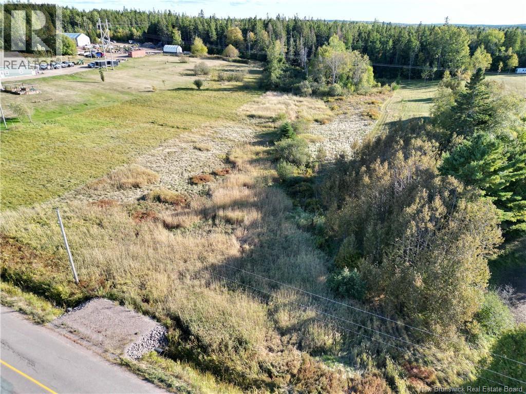 Photo of Listing #NB127335