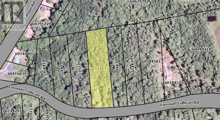 41 Freeman Collicutt Road, Canaan