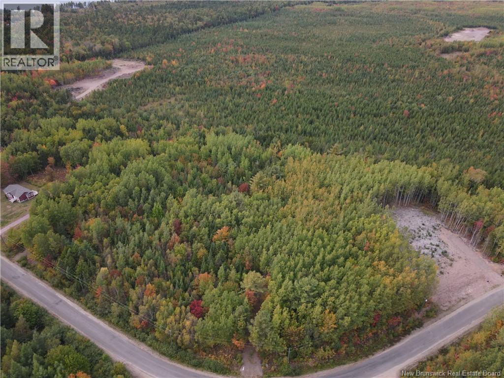 Photo of Listing #NB127175