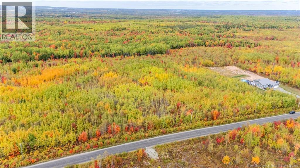 Photo of Listing #NB127434