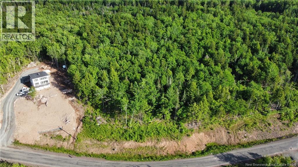 Photo of Listing #NB127473