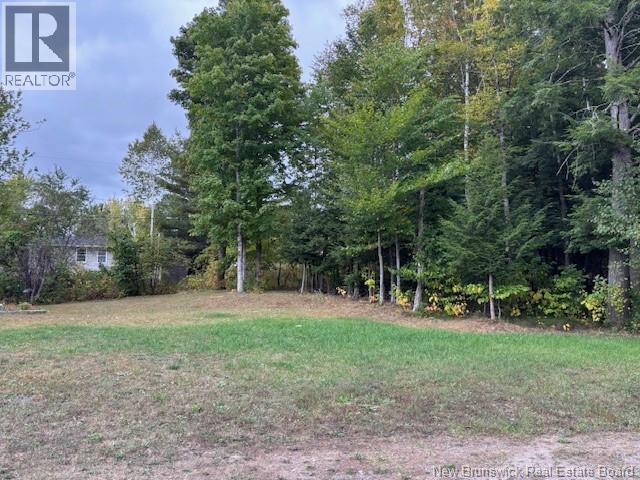 Photo of Listing #NB127474