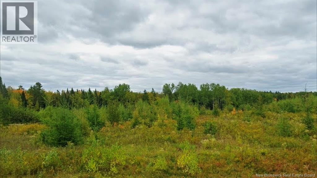 Photo of Listing #NB127480