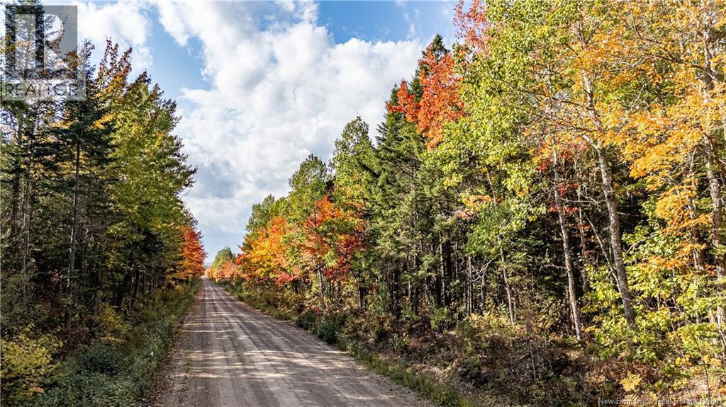 Photo of Listing #NB127555