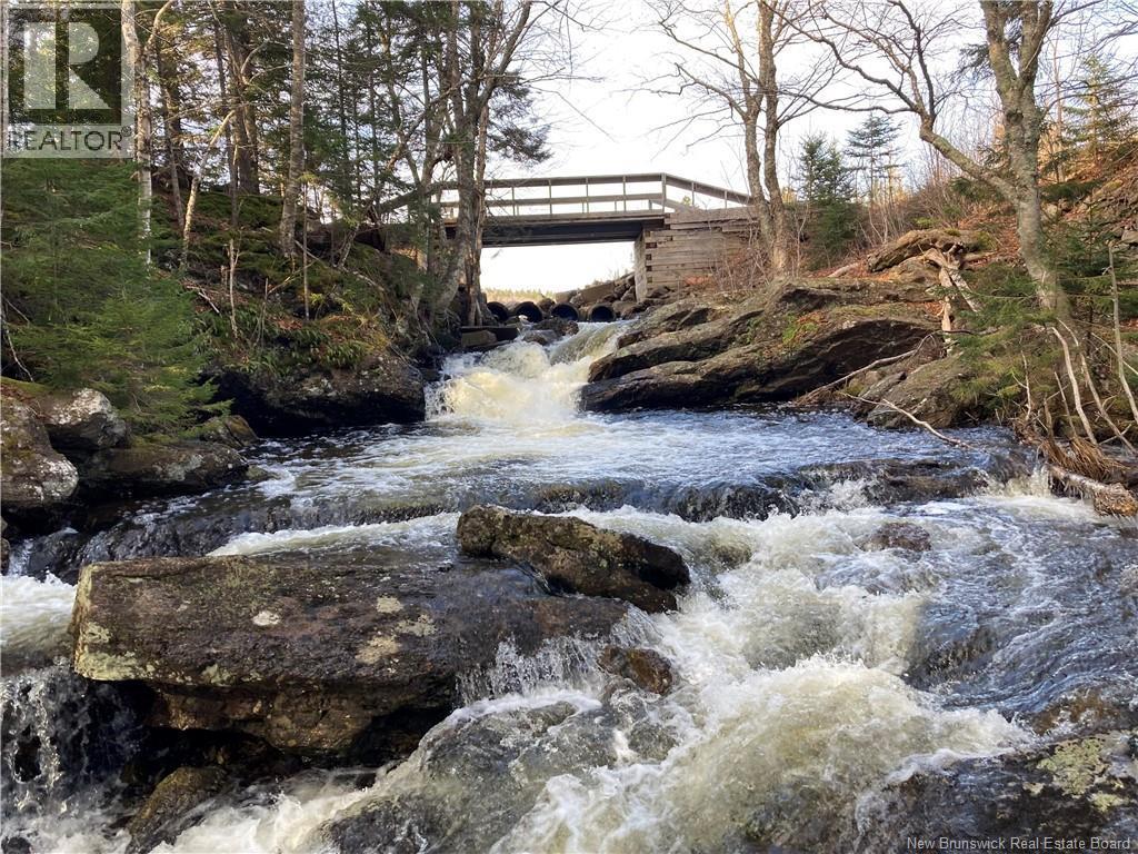 Photo of Listing #NB127582